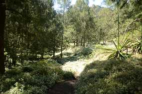 DSC_5368 Christine & Ronni Selpien - HAMBURG