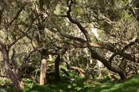 DSC_5415 Christine & Ronni Selpien - HAMBURG