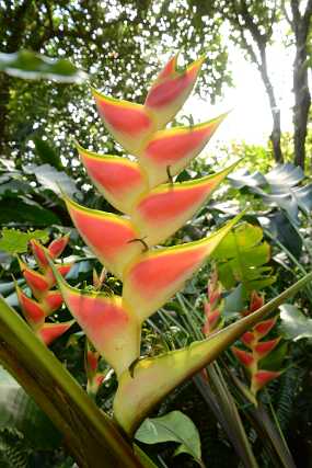 DSC_6798 Christine & Ronni Selpien - HAMBURG