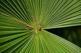 DSC_6805 Christine & Ronni Selpien - HAMBURG