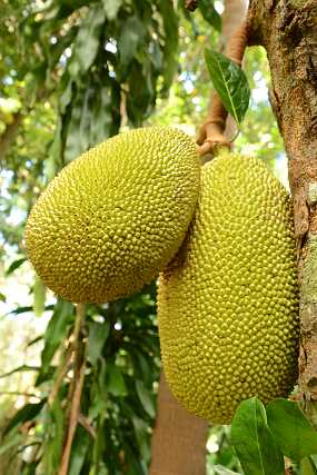 DSC_6822 Christine & Ronni Selpien - HAMBURG