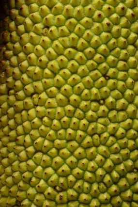 DSC_6823 Christine & Ronni Selpien - HAMBURG