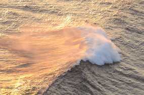 DSC_7517 Christine & Ronni Selpien - HAMBURG