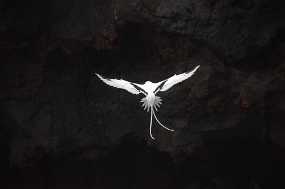 DSC_5466 Christine & Ronni Selpien - HAMBURG