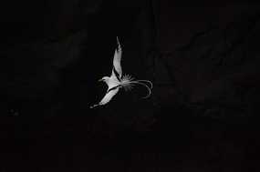 DSC_5471 Christine & Ronni Selpien - HAMBURG