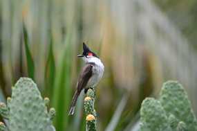 DSC_5908 Christine & Ronni Selpien - HAMBURG