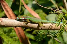 DSC_7697 Christine & Ronni Selpien - HAMBURG