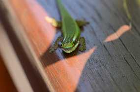 DSC_7712 Christine & Ronni Selpien - HAMBURG