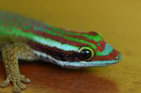 DSC_7816 Christine & Ronni Selpien - HAMBURG