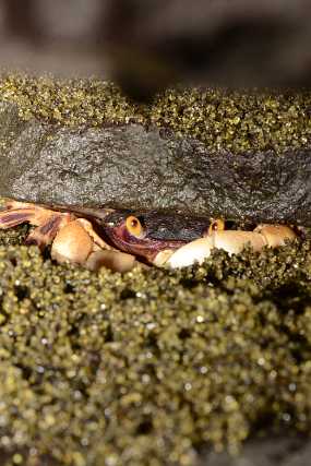 DSC_7948 Christine & Ronni Selpien - HAMBURG