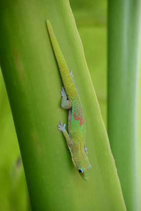 DSC_8184 Christine & Ronni Selpien - HAMBURG