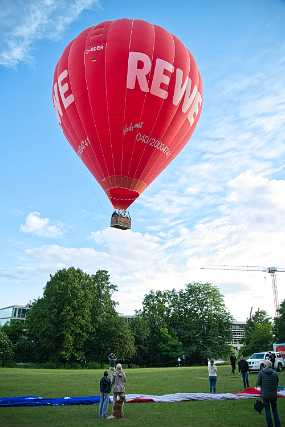 Und schon sind sie über den Bäumen