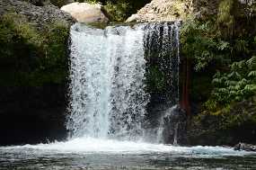 DSC_4711 Christine & Ronni Selpien - HAMBURG