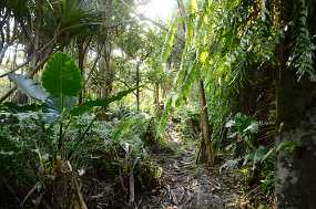 DSC_5004 Christine & Ronni Selpien - HAMBURG