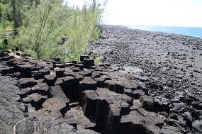 DSC_5026 Christine & Ronni Selpien - HAMBURG