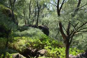 DSC_5036 Christine & Ronni Selpien - HAMBURG